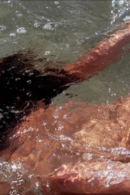 Объявления проституток СПб | Все вуаля от Аллочки.