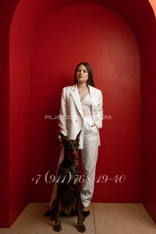 Проститутка Юлия Indi (куни входит), Мбр + Ас, в Питере у метро Московская