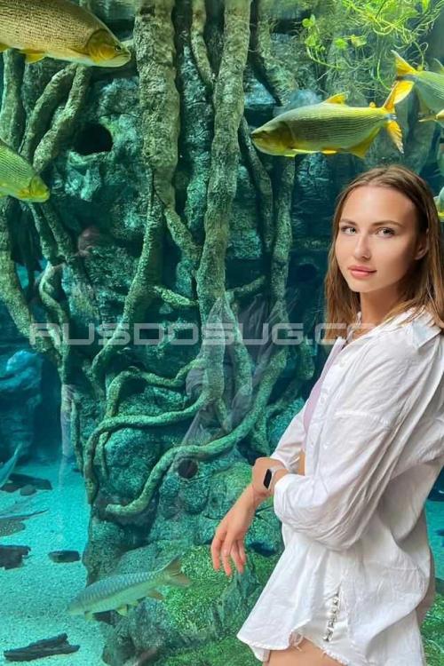 Проститутка Анастасия, Москва у метро Войковская