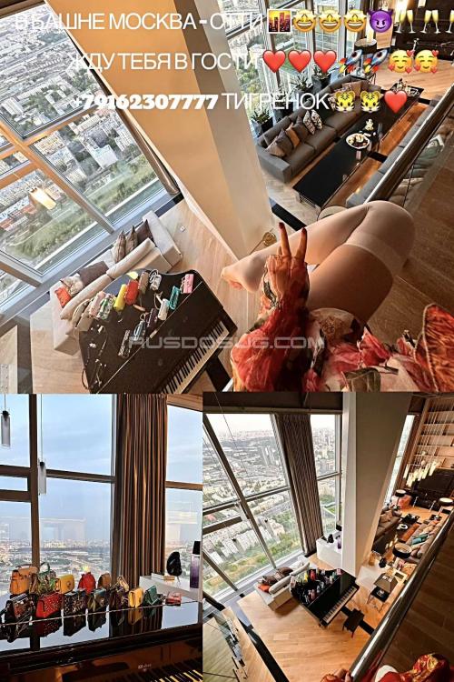 Проститутка Тигренок живу в Москва сити, Москва у метро Выставочная